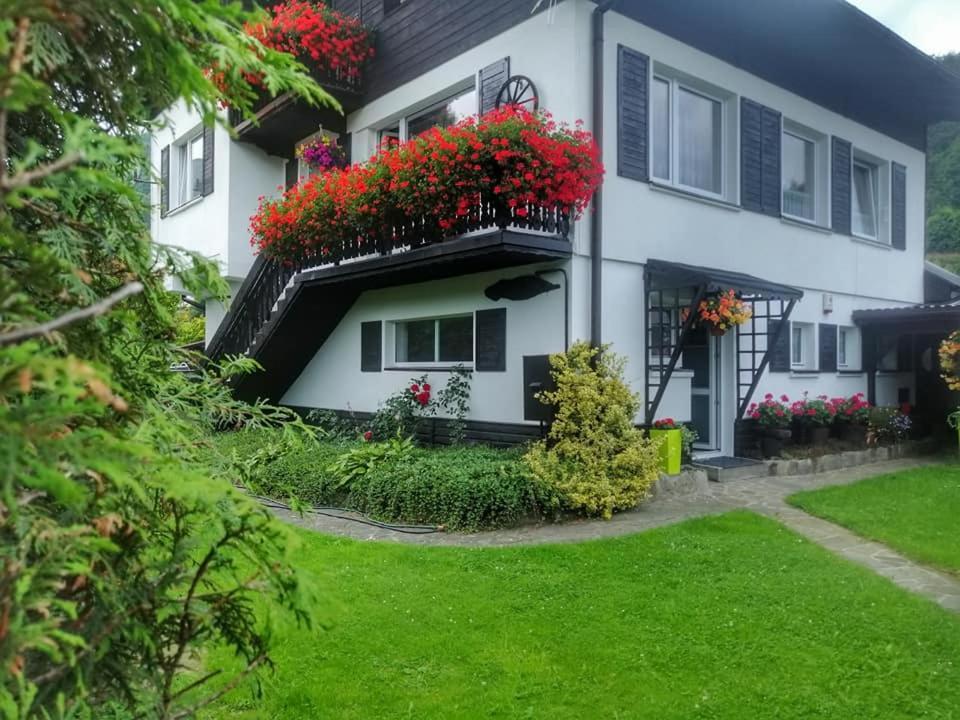 شقة Apartament Bukowy شتوروك المظهر الخارجي الصورة